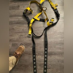 Harness and lead